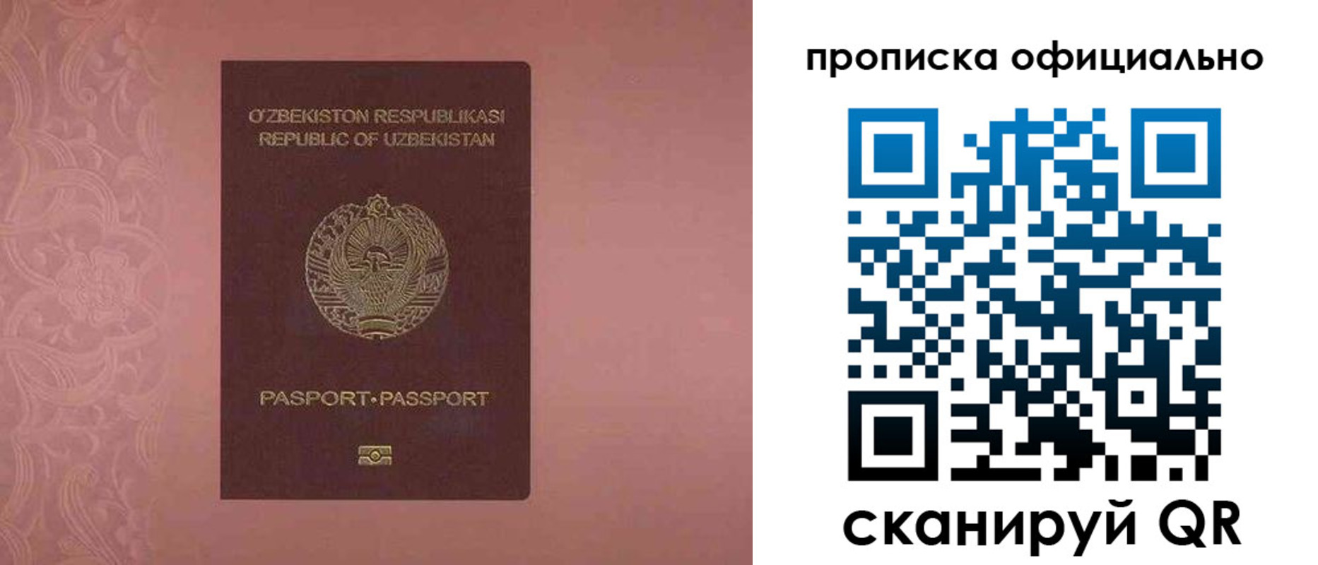 прописка для школы в Лузе